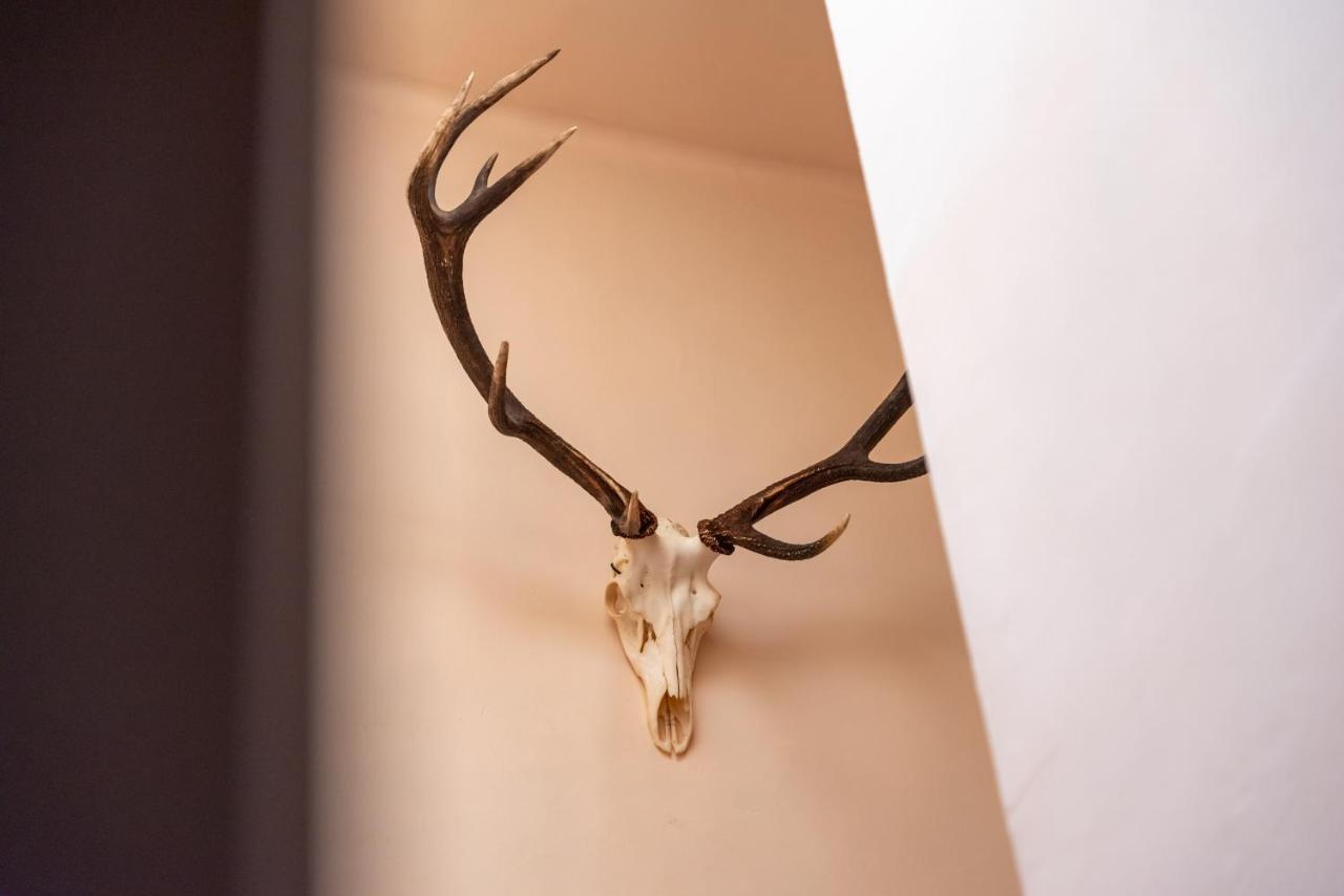 Hotel Le Cor De Chasse Saint-Hubert Kültér fotó